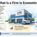 What Is a Firm in Economics Explained Clearly
